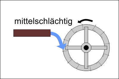 mittelschlaechtig